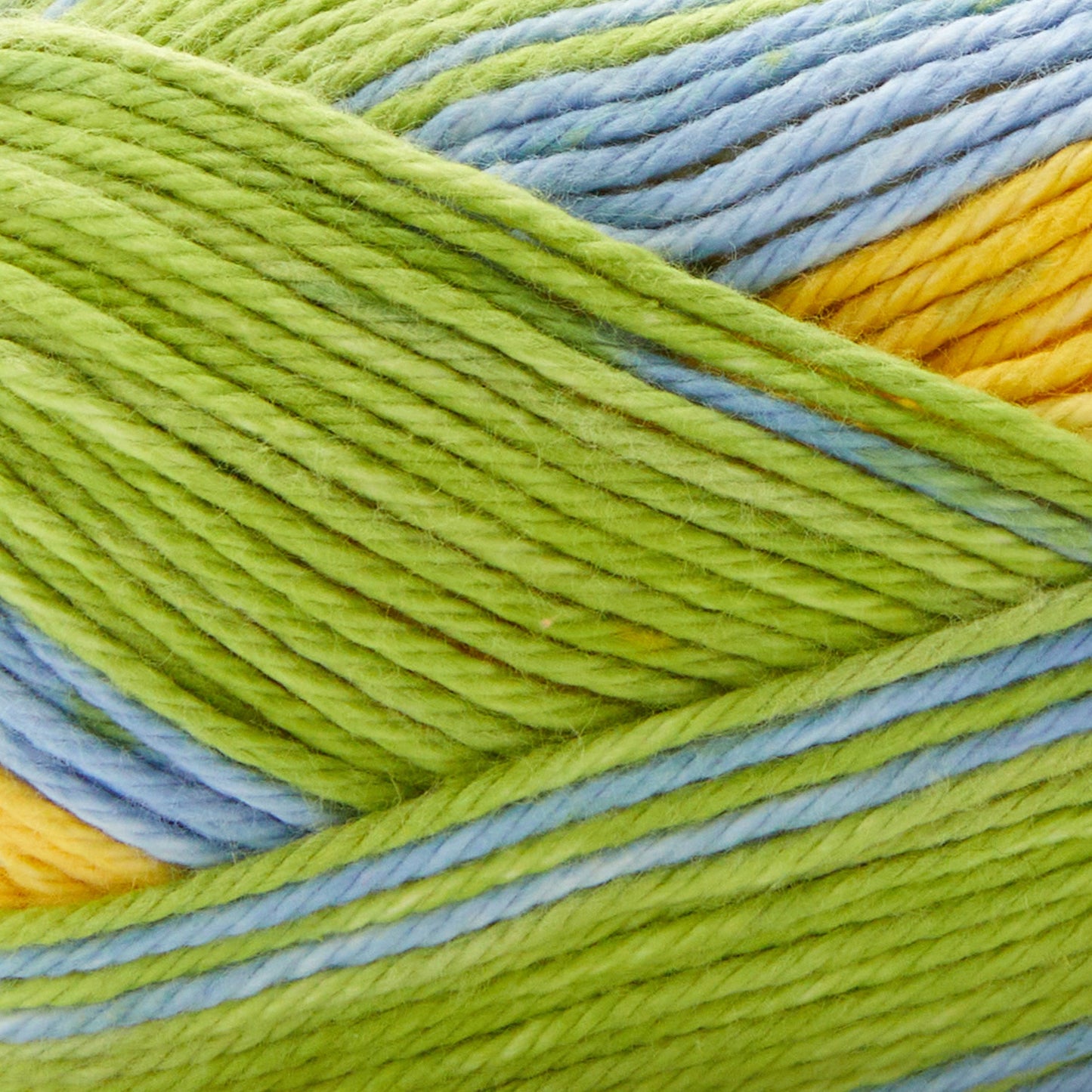 Premier Cotton Sprout Worsted Multi Yarn
