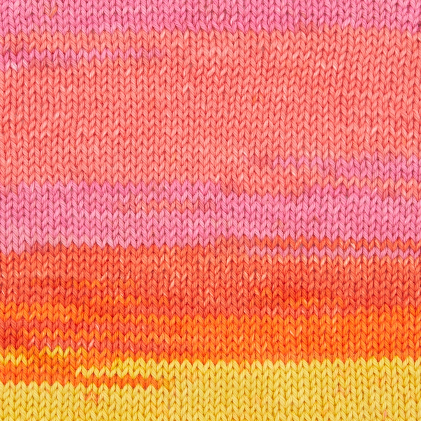 Premier Cotton Sprout Worsted Multi Yarn